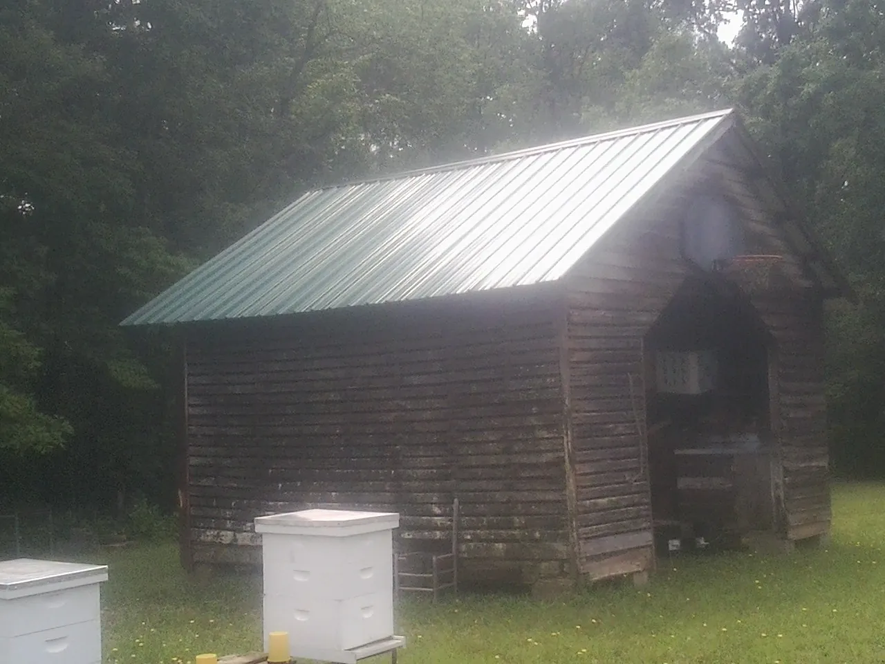 Green metal roof on a weathered barn beside stacked beehives in Bradyville