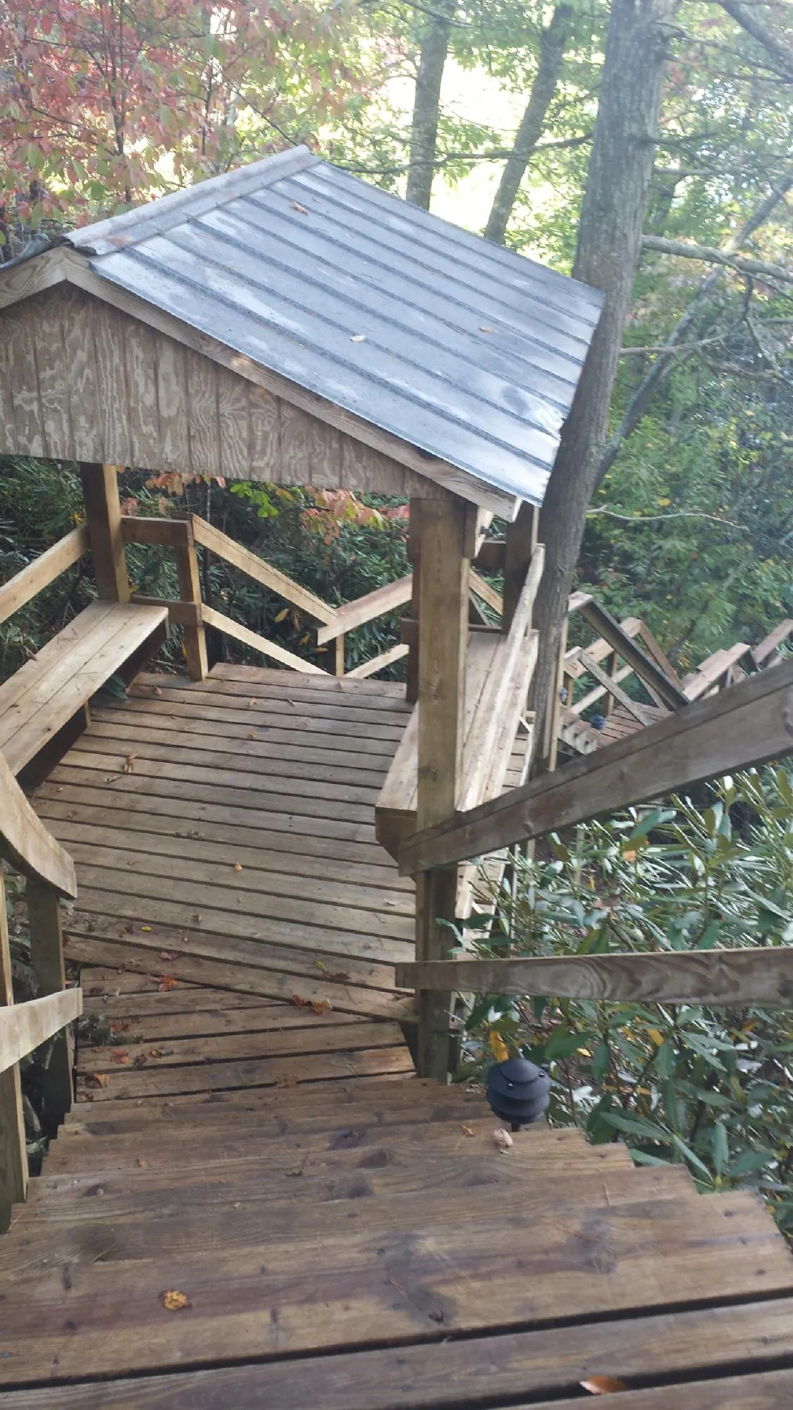 Metal roofed shelter over wooden steps on a wooded walkway — Skylight Repair & Installation work by our crew in Bradyville