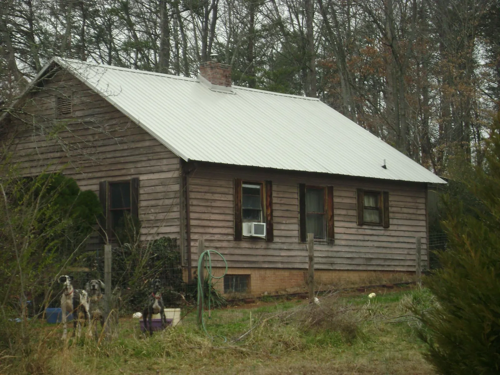 White metal roof on an old wood sided farmhouse, from a Asphalt Shingle Roof Repair job in Bradyville